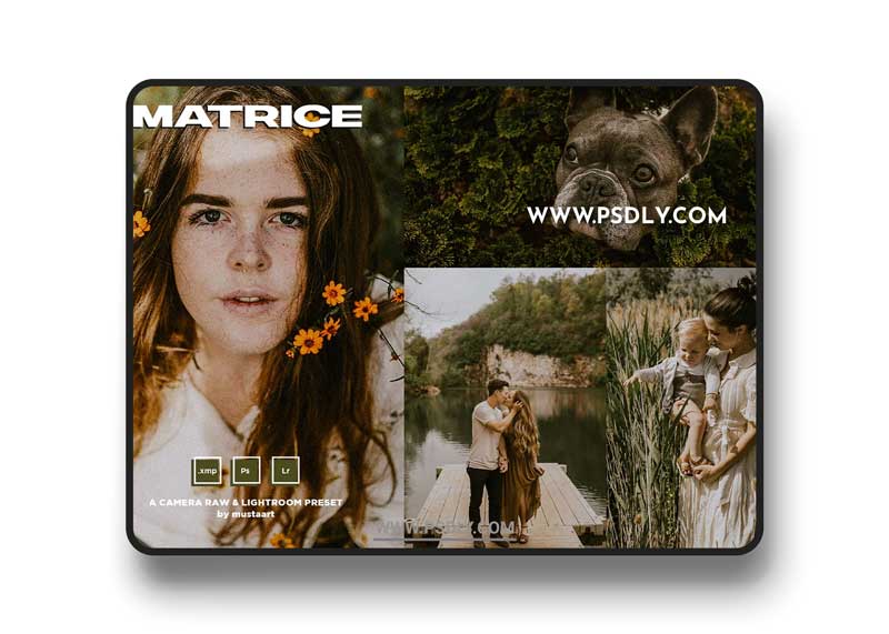 CreativeMarket - MustaART - Matrice - XMP Preset 5435733