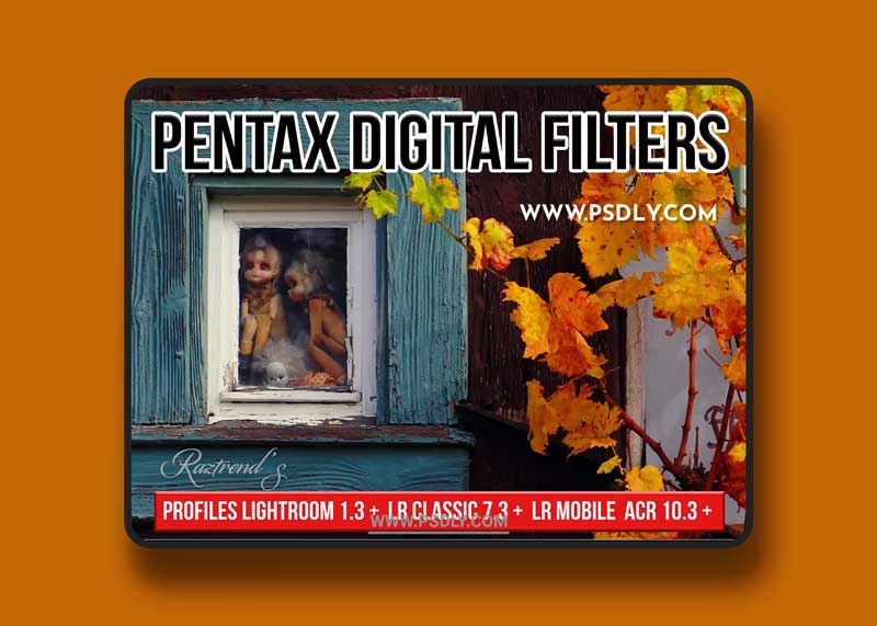 CreativeMarket - Pentax Digital Filters 5773069