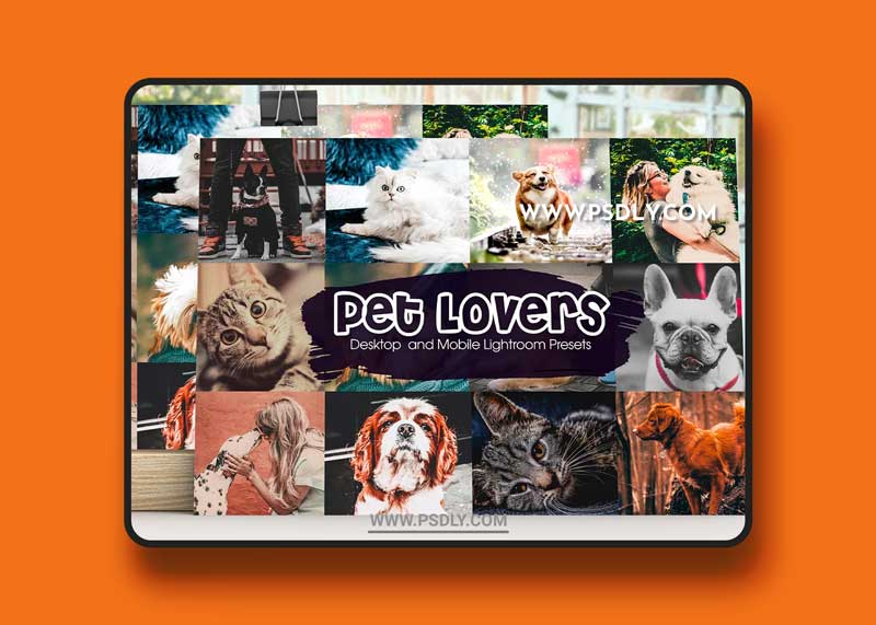 CreativeMarket - Pet Lovers Lightroom Presets 5192321