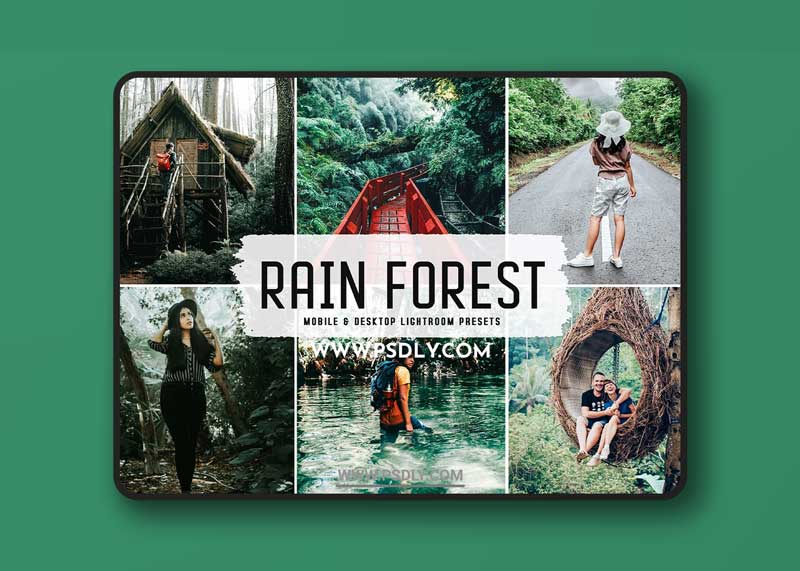 CreativeMarket - Rain Forest Pro Lightroom Presets 6346185