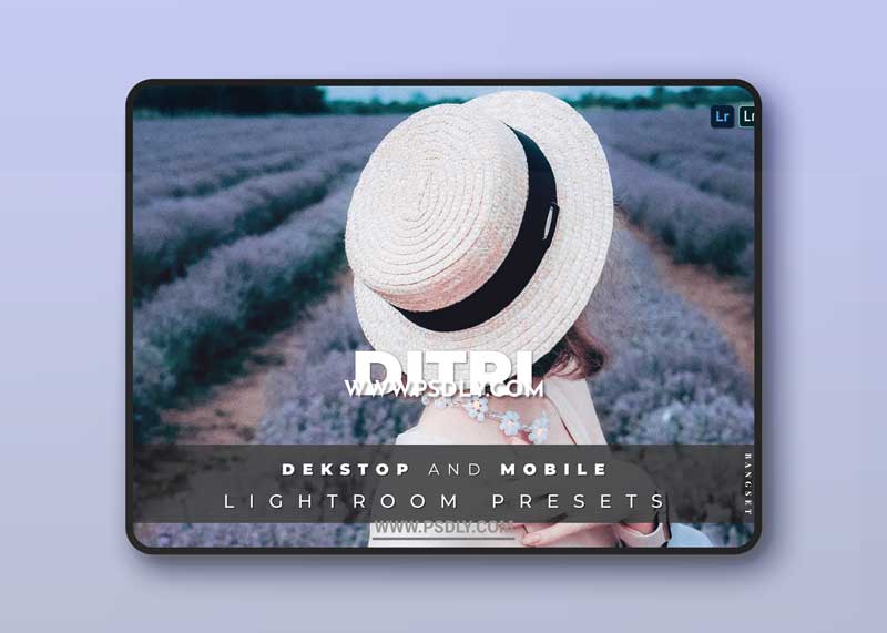 Ditri Desktop and Mobile Lightroom Preset