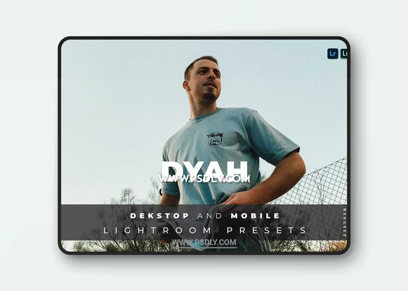 Dyah Desktop and Mobile Lightroom Preset