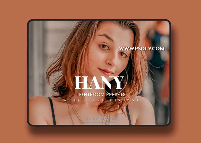 Hany Lightroom Presets Dekstop and Mobile