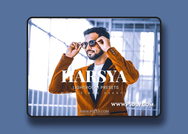 Harsya Lightroom Presets Dekstop and Mobile