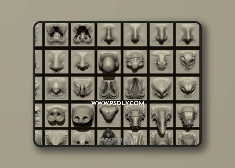 NOSES - 40 ZBrush VDM Nasal Areas