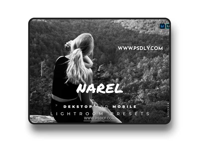 Narel Desktop and Mobile Lightroom Preset ZPZN2ZF