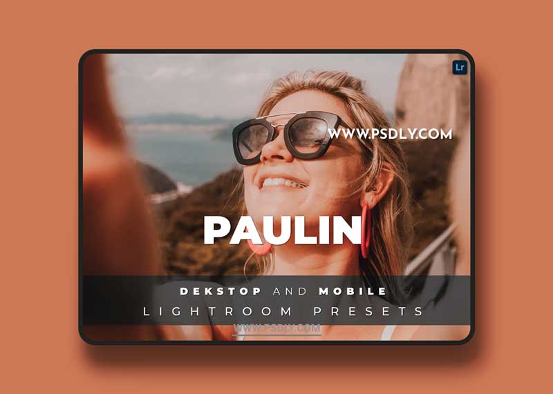 Paulin Desktop and Mobile Lightroom Preset
