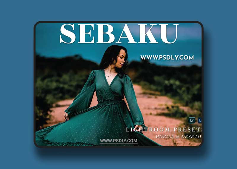 Sebaku Mobile and Desktop Lightroom Presets
