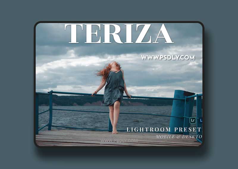 Teriza Mobile and Desktop Lightroom Presets