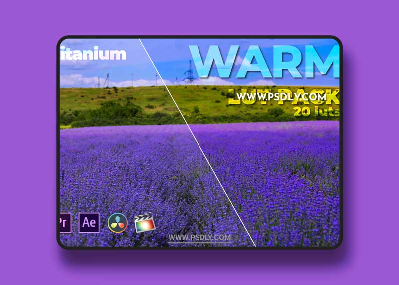 Titanium Warm LUT Pack (20 Luts)
