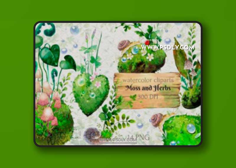 Watercolor Cliparts of Forest Moss, Herb 14972107