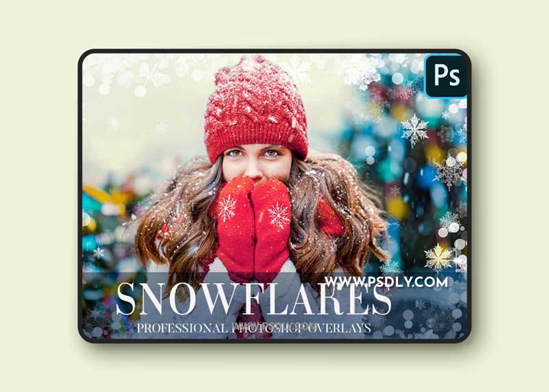 CreativeMarket - Winter Overlays Photoshop 4949169