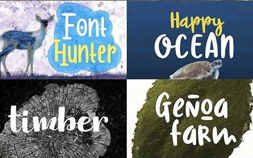 CreativeMarket - The Font Box Mini 3237533