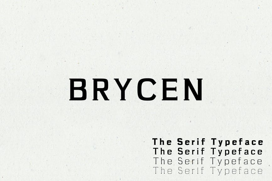 Brycen Serif Premium Font Family Fonts