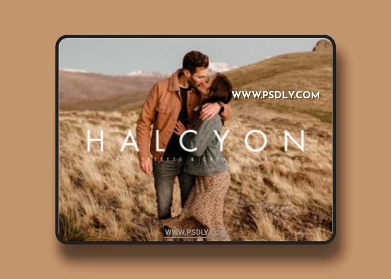 Archipelago Presets - Halcyon LR & ACR Presets + Profiles