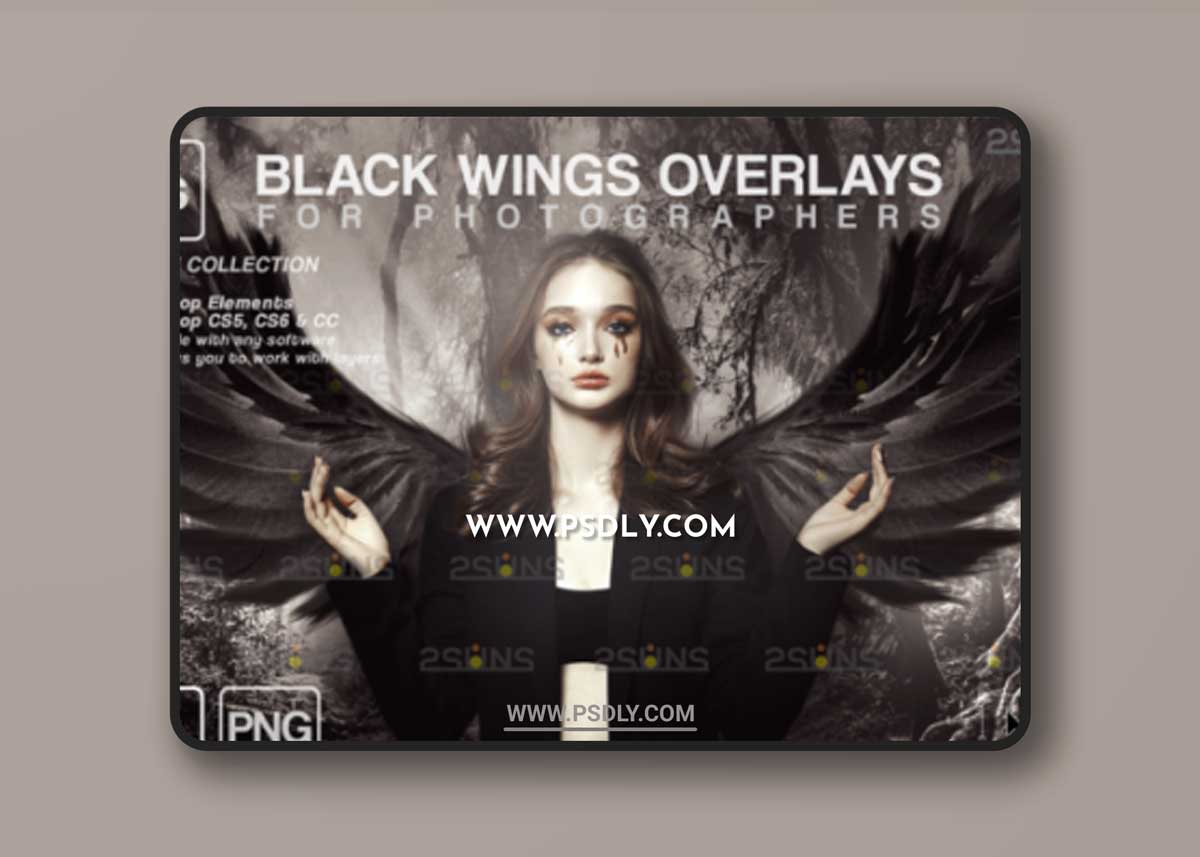 Black Angel Wings Overlay