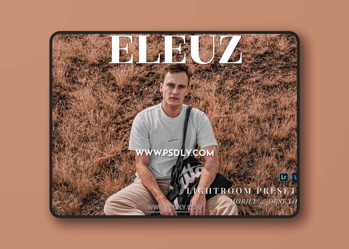 Eleuz Mobile and Desktop Lightroom Presets