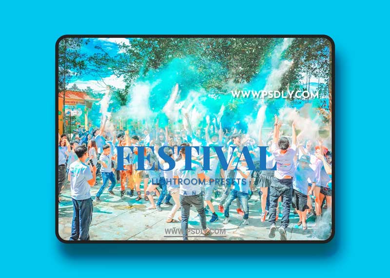 Festival Lightroom Presets Dekstop and Mobile