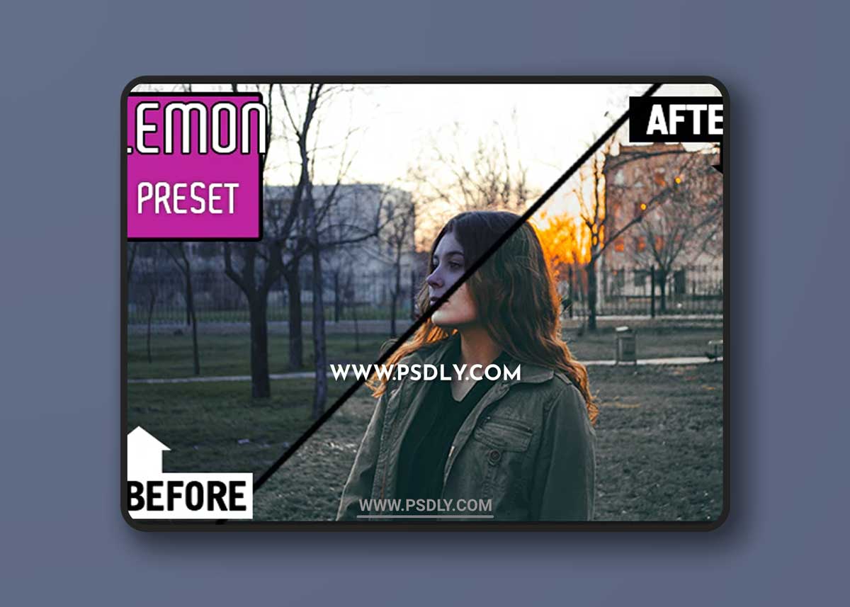 GraphicRiver - Lemon Preset 19740897
