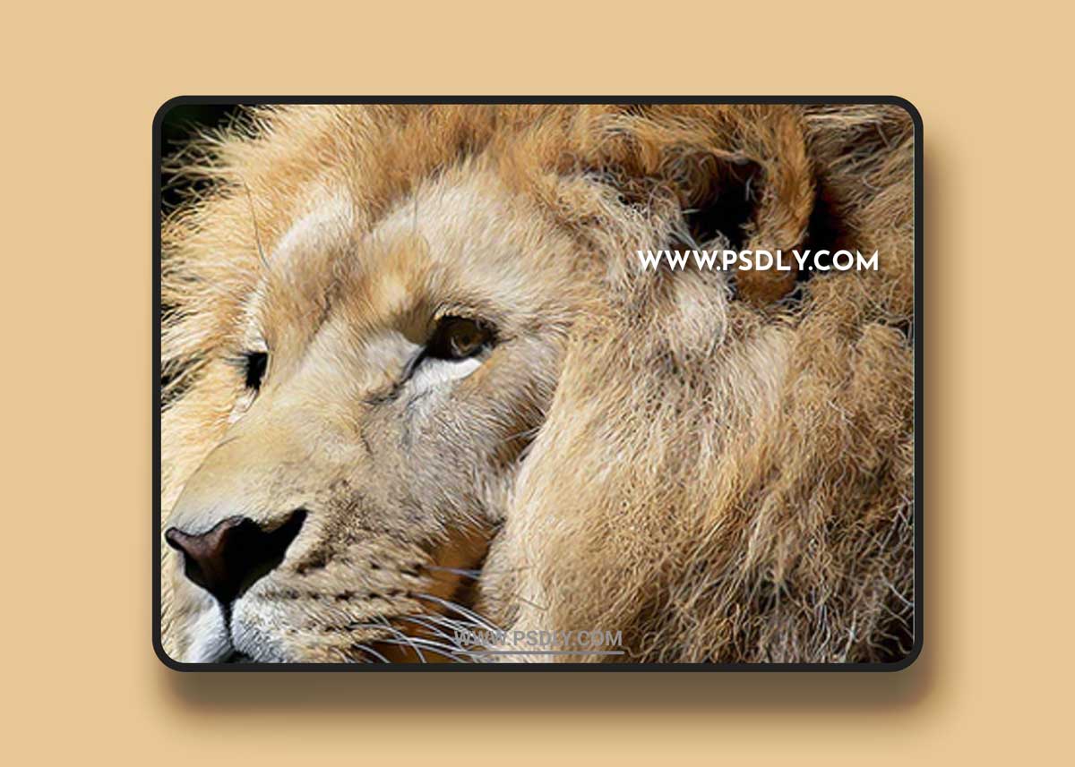 GraphicRiver - Vector Paint 21270245