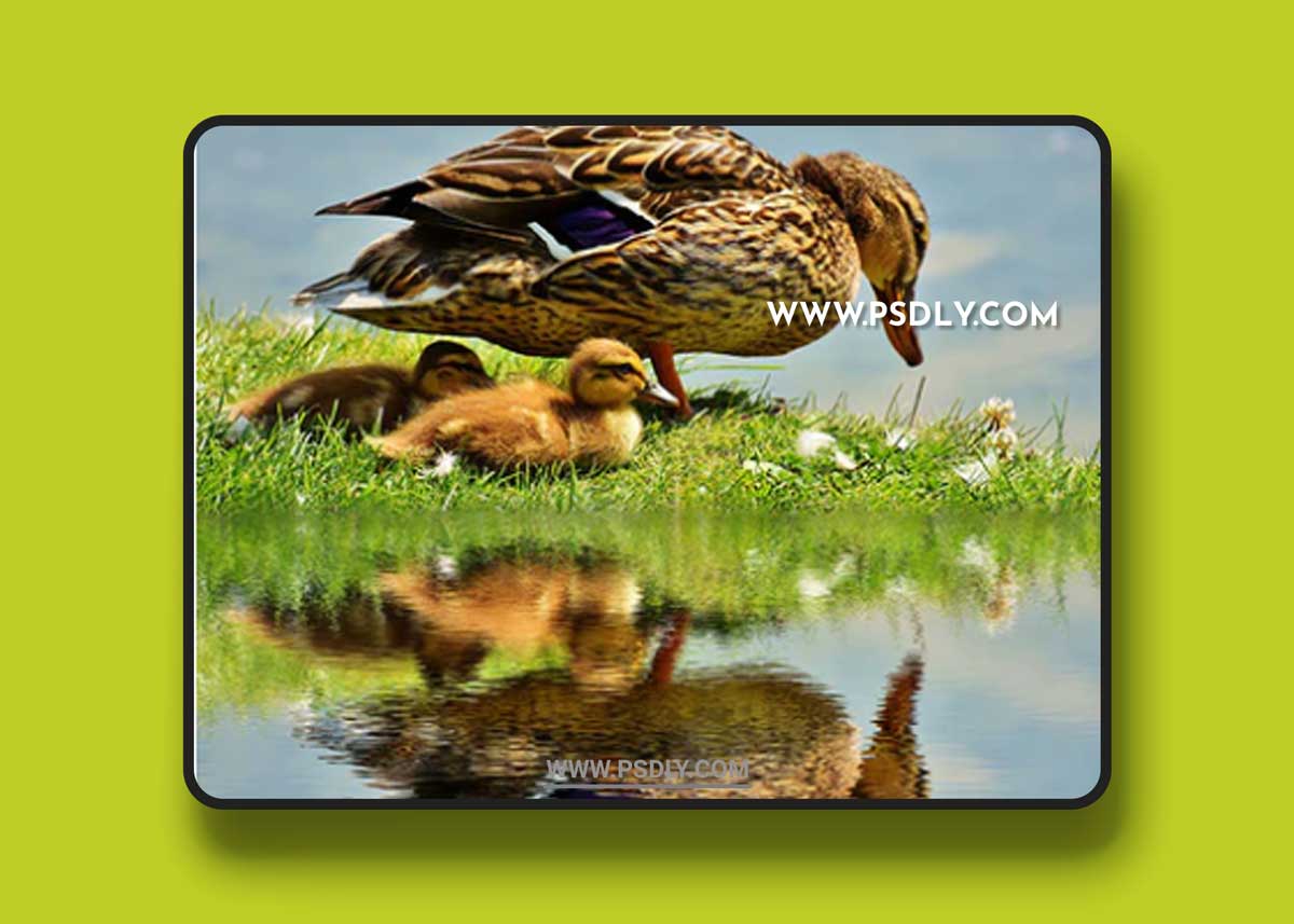 GraphicRiver - Water Reflection Photoshop Action 21245287