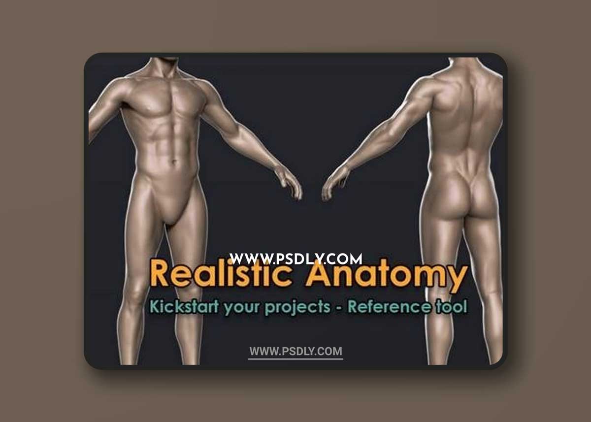 High end Male & Female base-meshes Bundle 3D Models