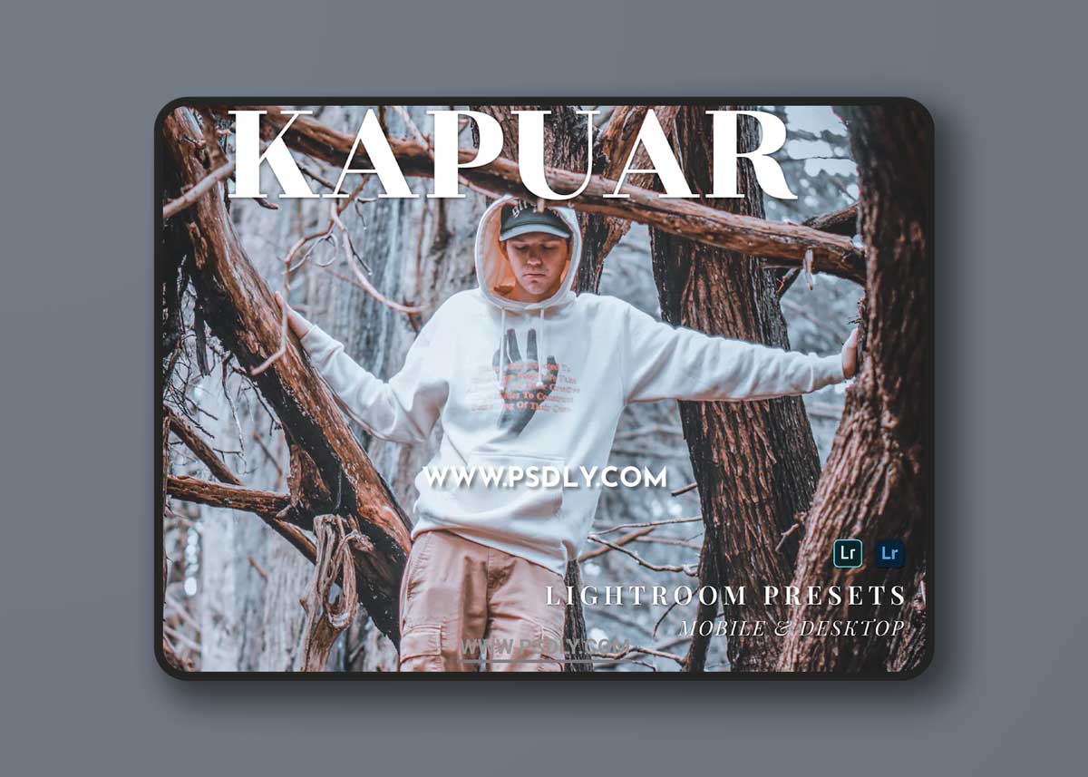 Kapuar Mobile and Desktop Lightroom Presets