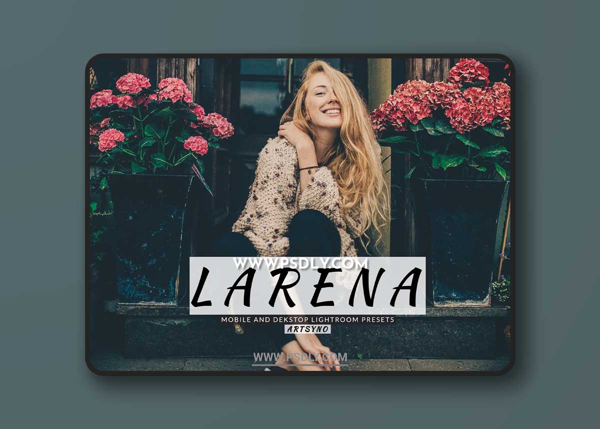 Larena Lightroom Presets Dekstop and Mobile
