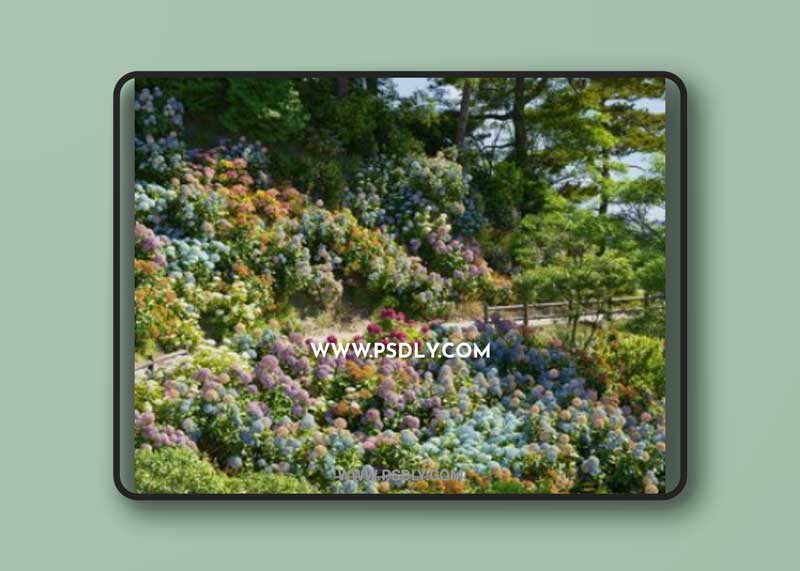 Maxtree - Plant Models Vol 70