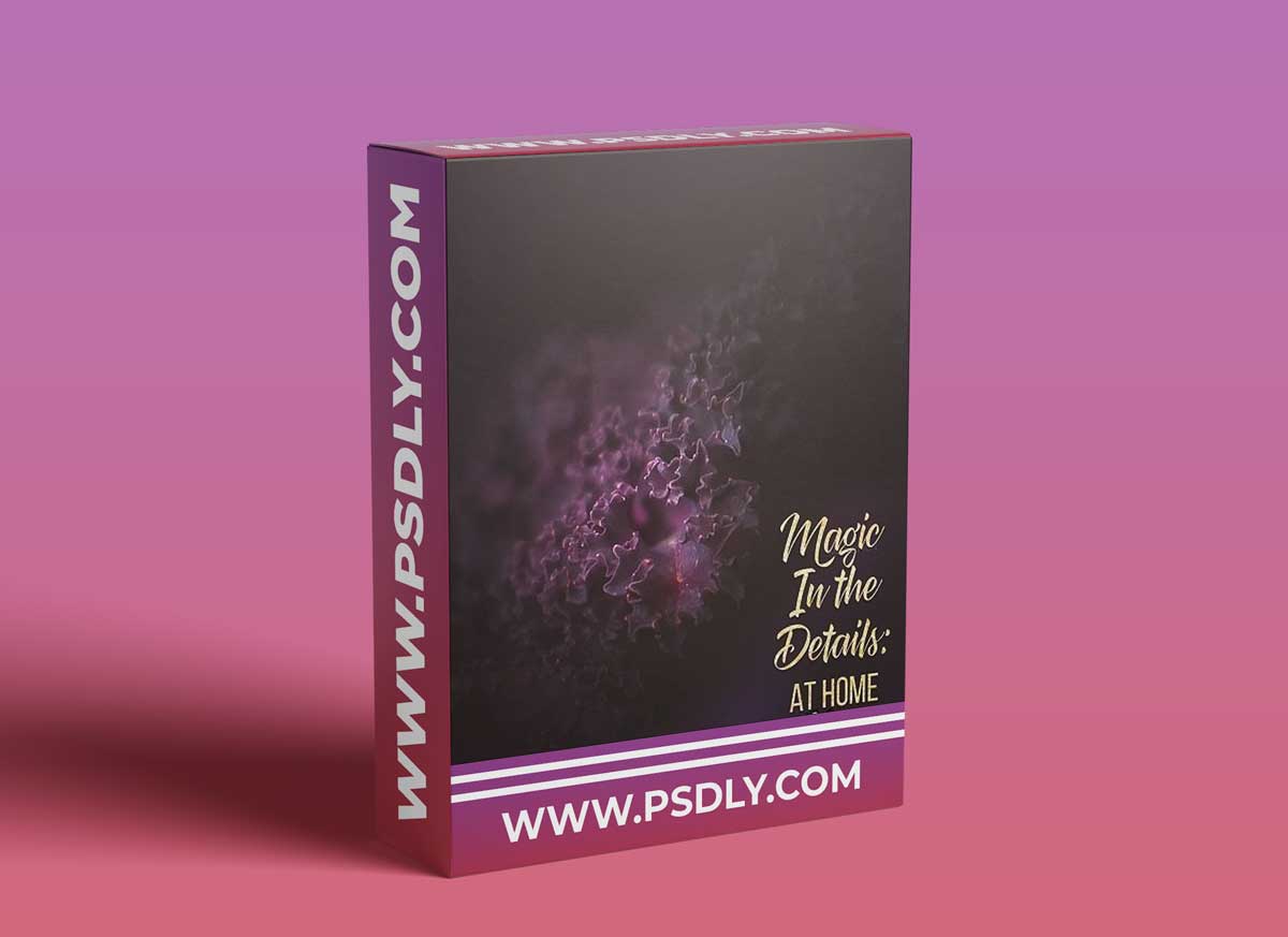 Meg Bitton Live — Magic in the Details