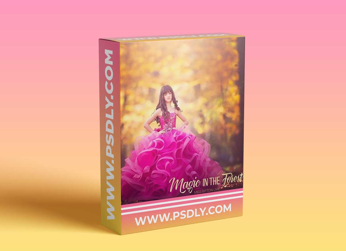 Meg Bitton — Magic In The Forest Workshop