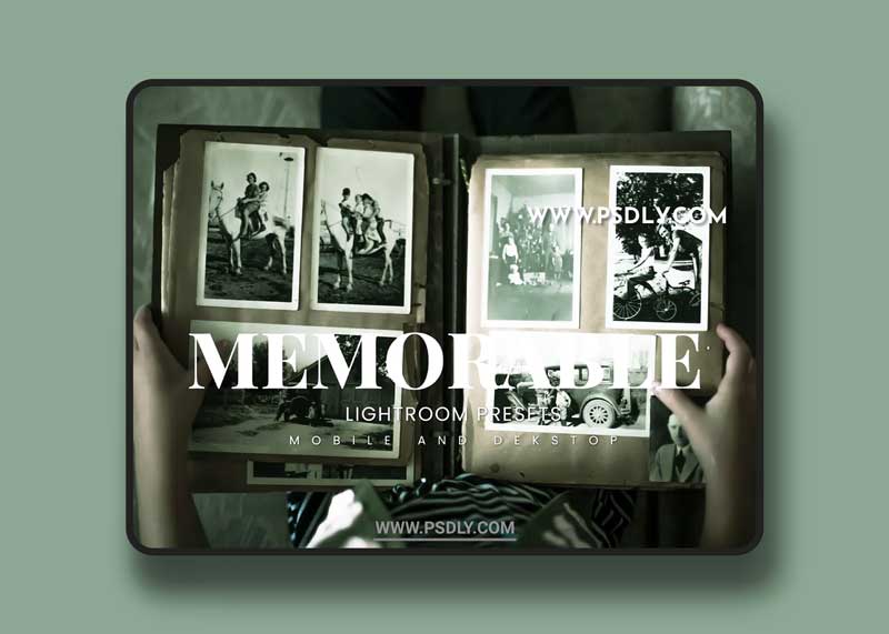 Memorable Lightroom Presets Dekstop and Mobile