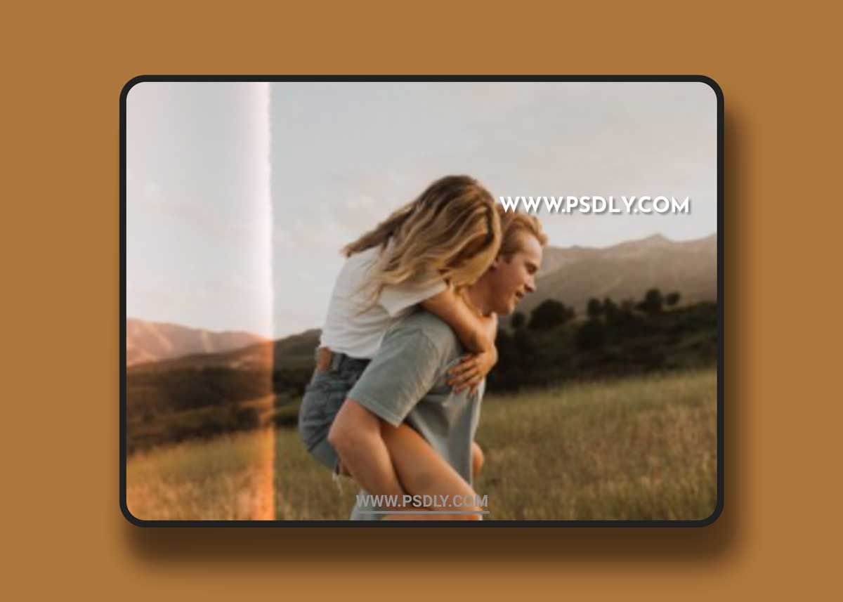 Meridian Presets - India Earl - Light Leaks