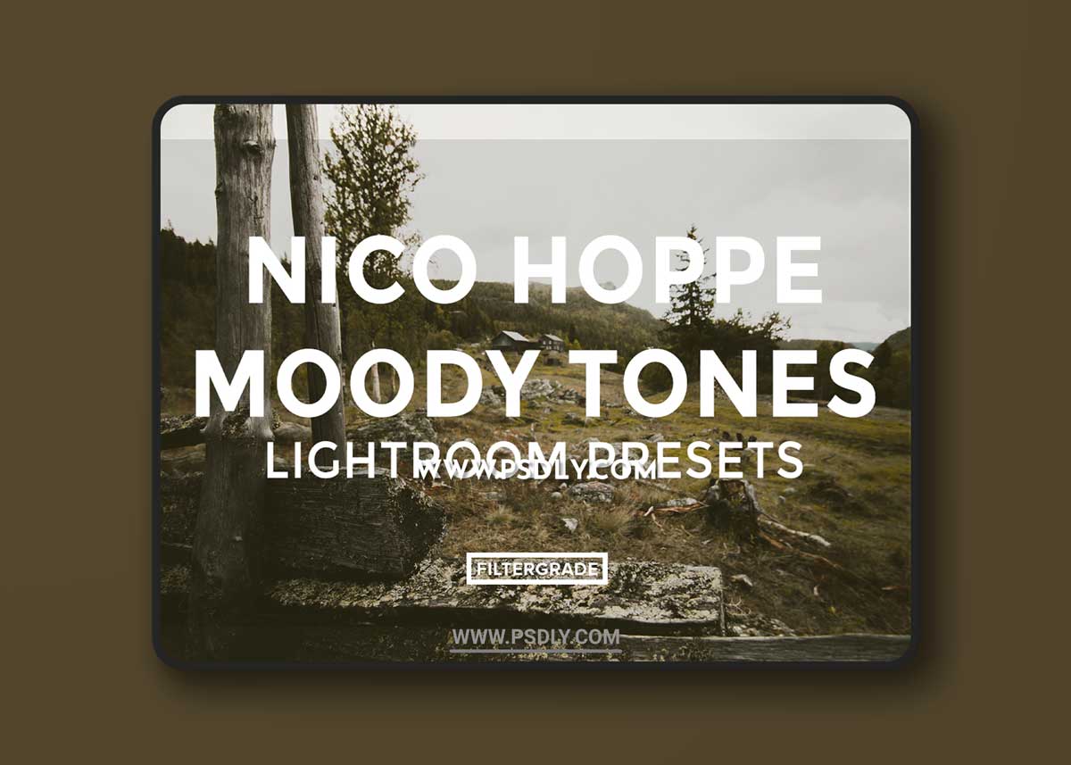 Nico Hoppe Moody Tones Lightroom Presets