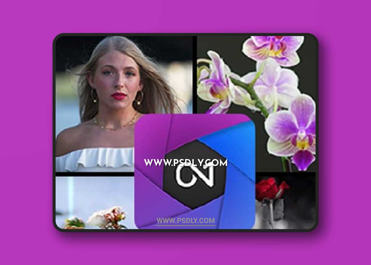 ON 1 - 70 Pack of Premium LUTs