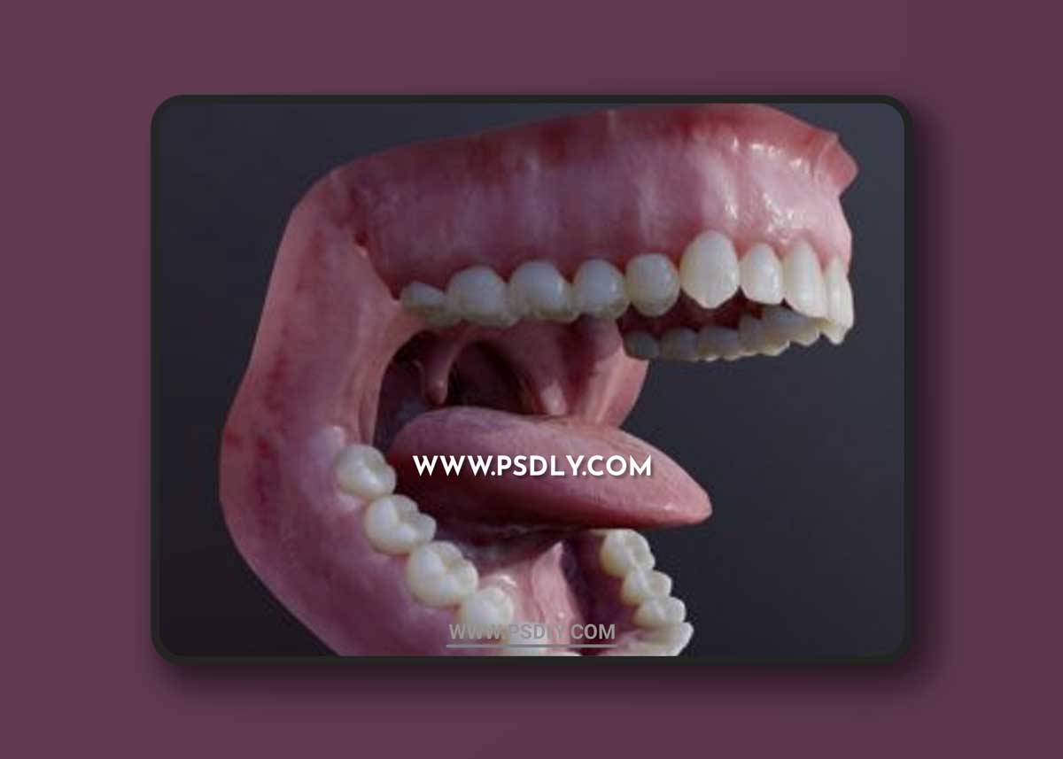 Photorealistic human mouth 3D Models