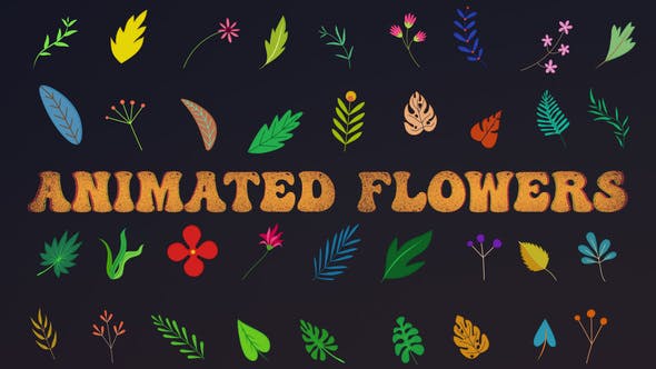 Videohive Animated Flowers || After Effects 33714560