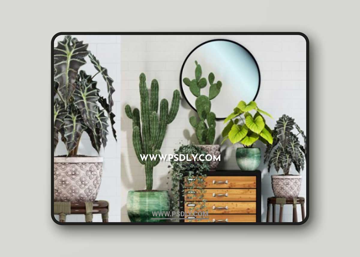 Plants collection 123 3D Models