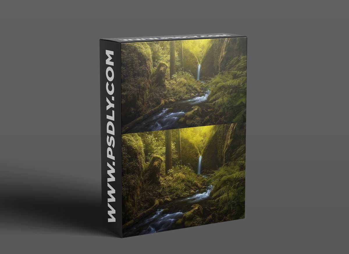 RYAN DYAR - Painting with Light: Artistic Approaches to Dodging and Burning