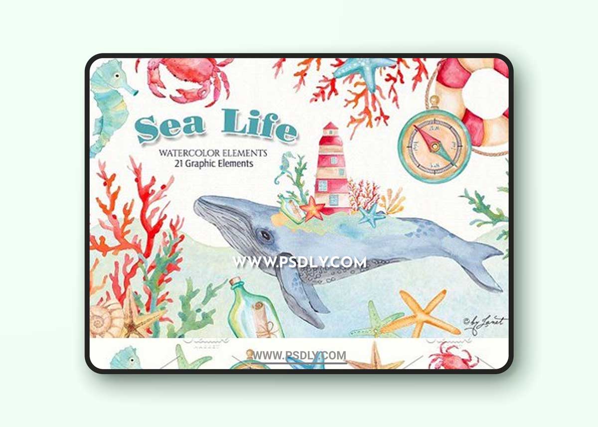 Sea Life Watercolor