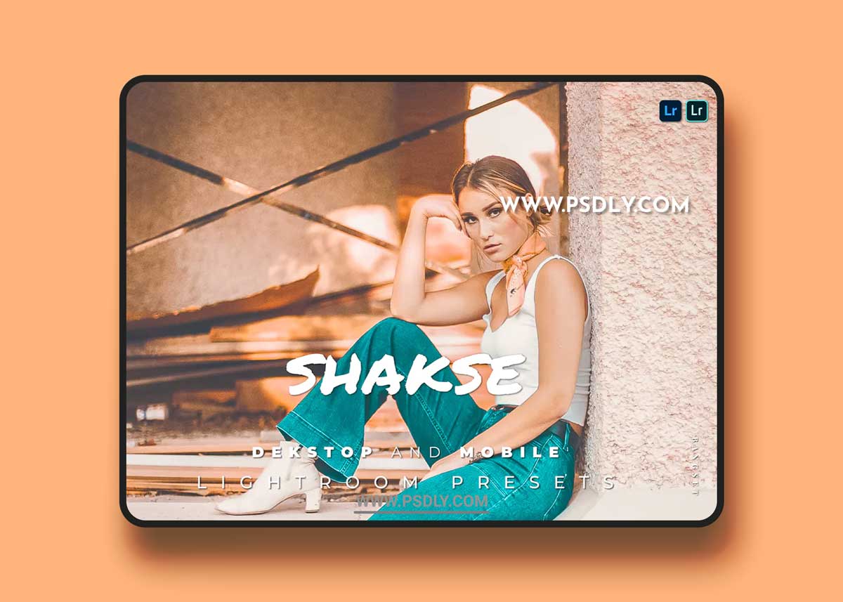 Shakse Desktop and Mobile Lightroom Preset
