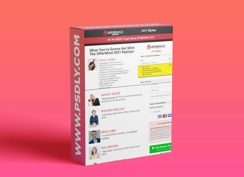 Steve Larsen – Offermind Replays (2021)