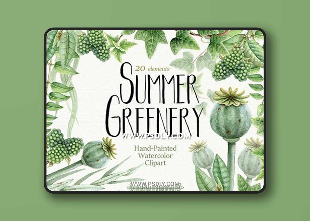 Summer Greenery. Watercolor set