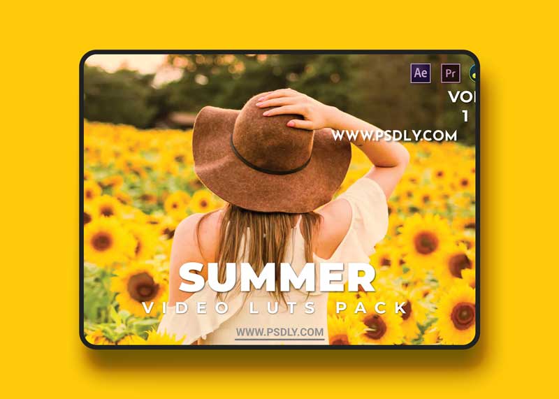 Summer Pack Video LUTs Vol.1
