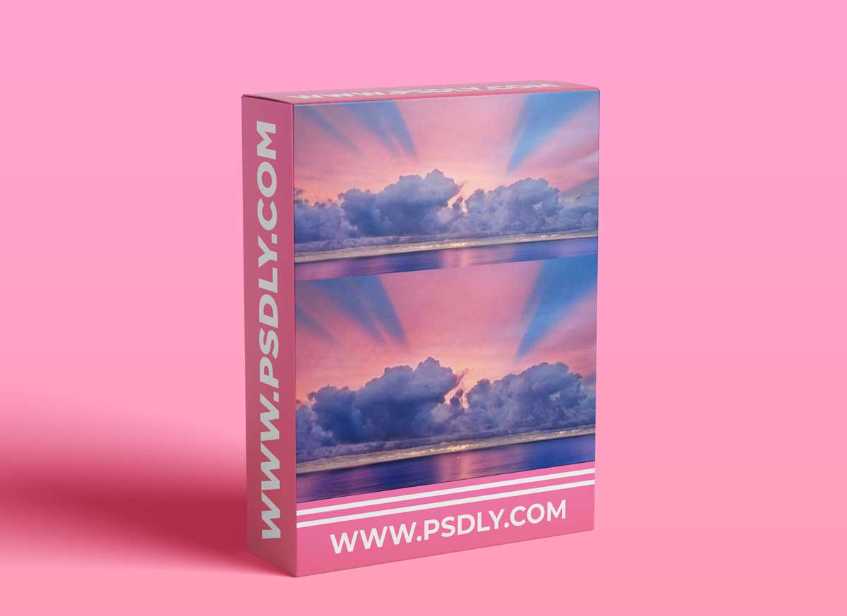 The Art of Seeing: On Location by Frans Lanting