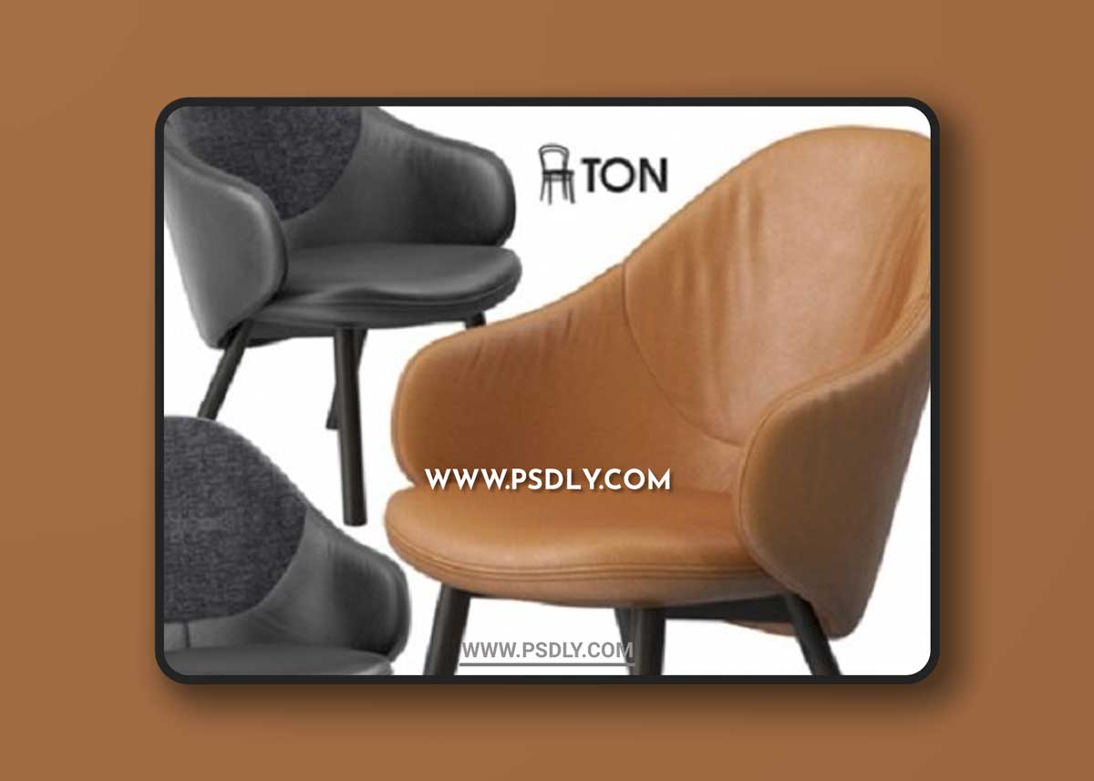 Ton Alba lounge armchair 3D Models