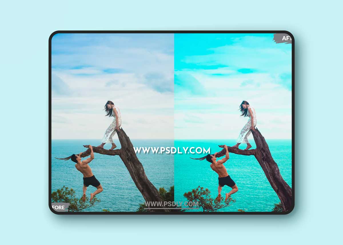 Travel Blogger Lightroom Presets Dekstop Mobile