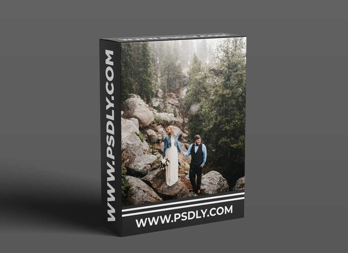 Twig & Olive Photography - Tech of Photographing Motion