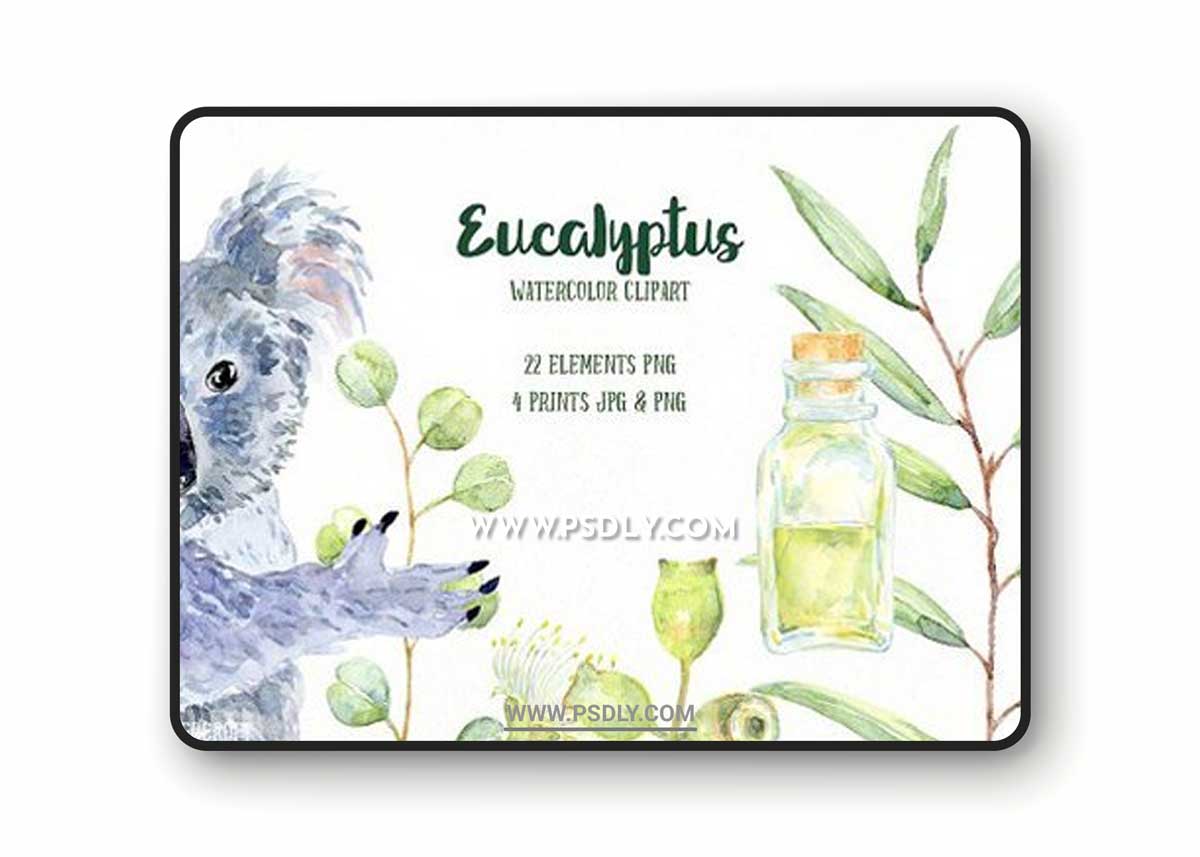 Watercolor Eucalyptus Koala Clip Art