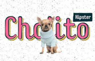 Checkin Script Family Regular Fonts